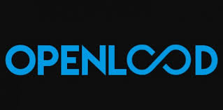 Image for openload with ID of: 3300527