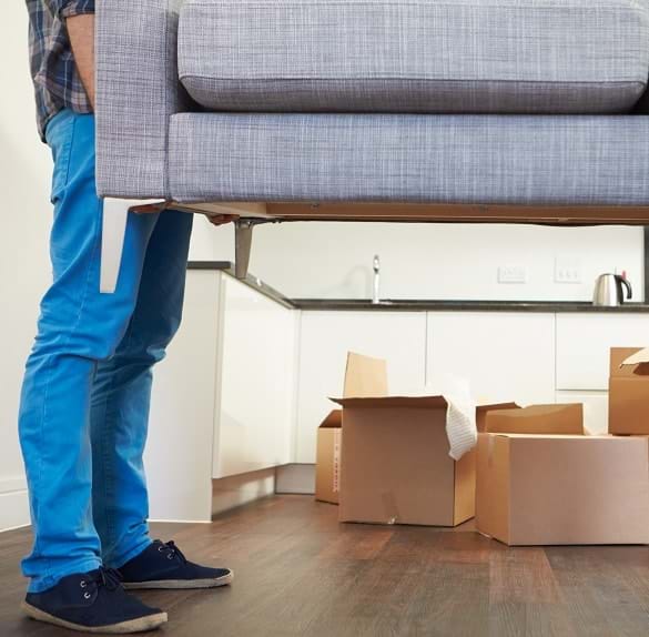 Image for Furniture Removalists Melbourne with ID of: 3301728