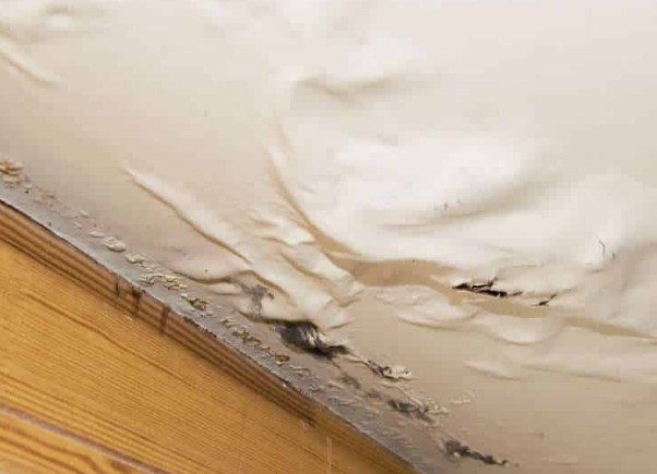 Image for Provision Remodeling with ID of: 3301781