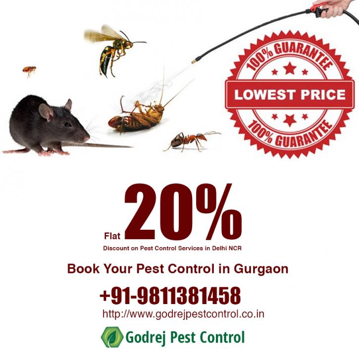 Image for Pest Control Gurgaon | Godrej Pest Control with ID of: 3301796