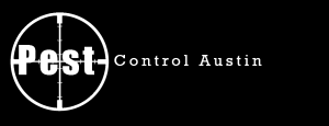 Image for Pest Control Austin with ID of: 3304052