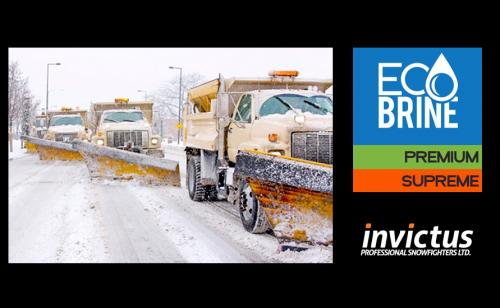 Image for Invictus Professional Snowfighters LTD with ID of: 3304408