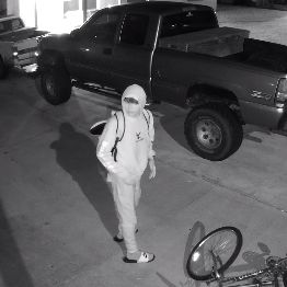 Image for Surveillance Solutions, Inc. with ID of: 3305347