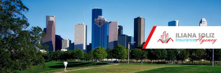 Image for Iliana Soliz Agency with ID of: 3305556