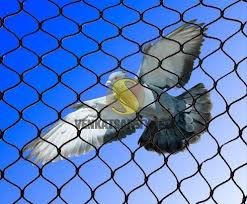 Image for pigeon nets services in mumbai with ID of: 3305924