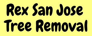 Image for Rex San Jose Tree Removal with ID of: 3306635