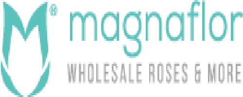 Image for Magnaflor with ID of: 3307641
