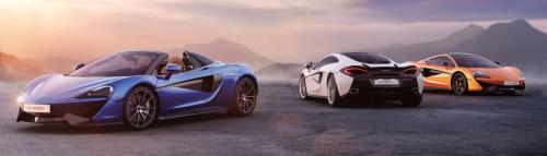 Image for McLaren Tampa Bay with ID of: 3309093