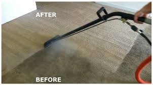 Image for Eugene Carpet Cleaning with ID of: 3310740
