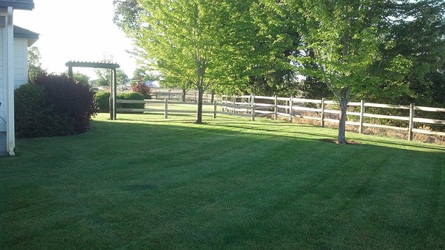Image for KJ Lawn Maintenance & Spraying LLC with ID of: 3311137