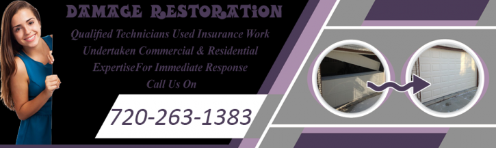 Image for Lakewood CO Garage Door with ID of: 3312632