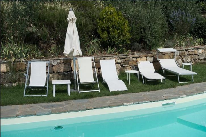 Image for Pool Deck Honolulu with ID of: 3312723