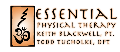 Image for Essential Physical Therapy with ID of: 3313648