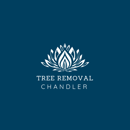 Image for Tree Removal Chandler with ID of: 3313942