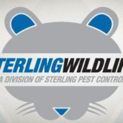 Image for sterlingwildlife@123 with ID of: 3314733