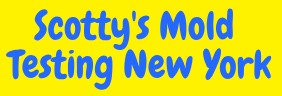 Image for Scotty's Mold Testing New York with ID of: 3316299