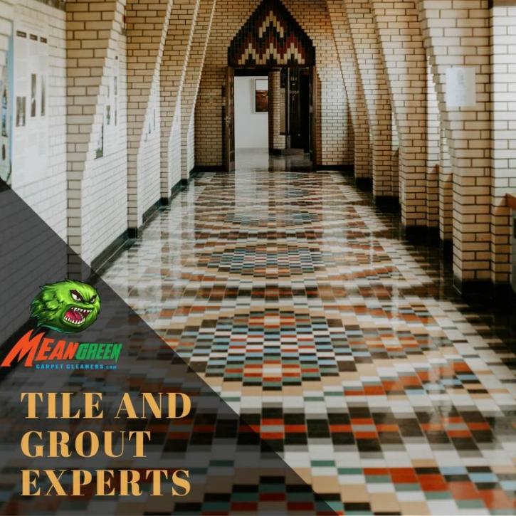 Image for Mean Green Carpet Cleaners with ID of: 3317023
