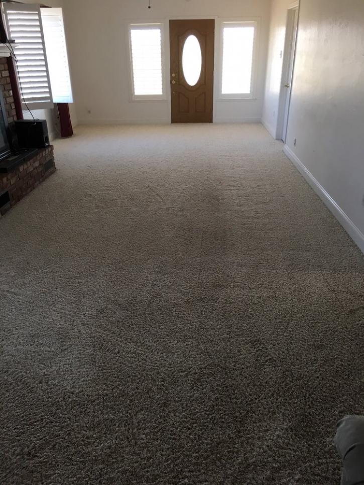 Image for Mean Green Carpet Cleaners with ID of: 3317025