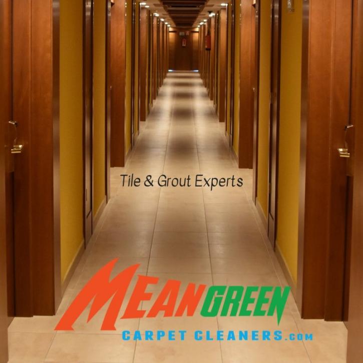 Image for Mean Green Carpet Cleaners with ID of: 3317026