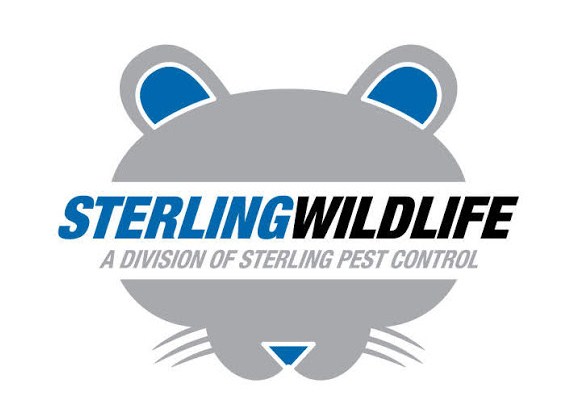 Image for Sterling Wildlife with ID of: 3317165