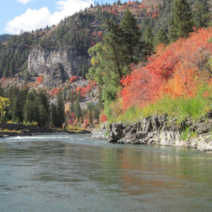 Image for Teton Troutfitters Inc with ID of: 3319030