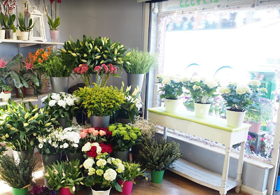 Image for Donna the Florist with ID of: 3319662