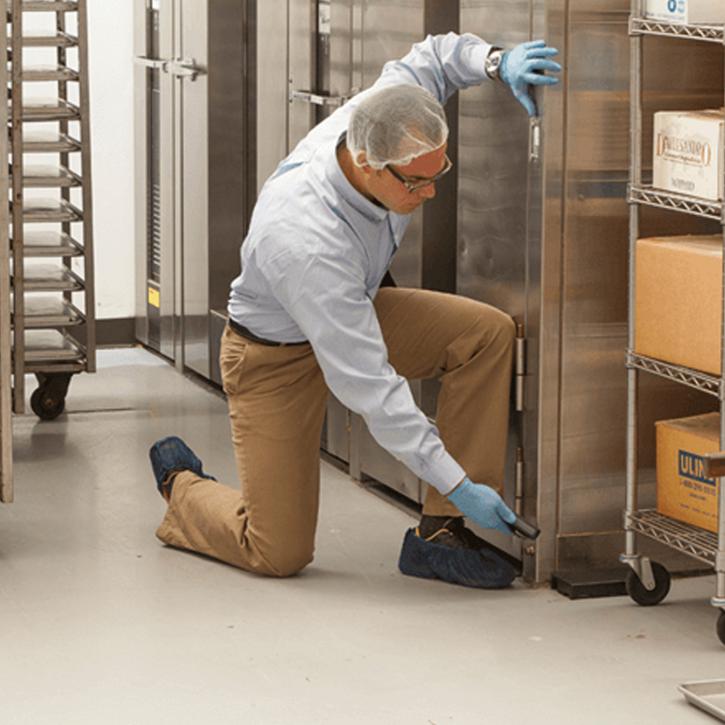 Image for Pest Control in Gurgaon – Zero Pest Solutions with ID of: 3320159
