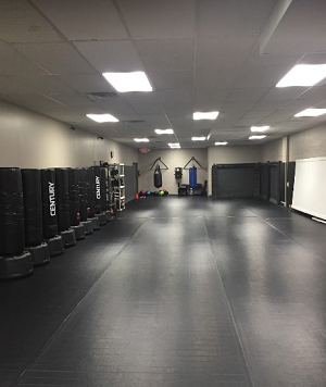 Image for Absolute Martial Arts with ID of: 3320409