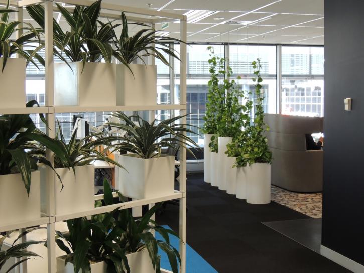 Image for Office Plant Hire with ID of: 3320976