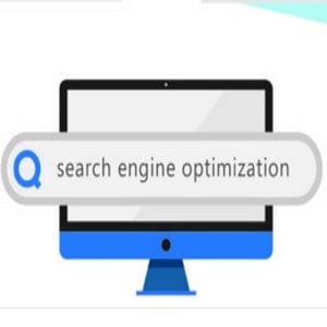 Image for SEO Billings 1st Page LLC with ID of: 3321702