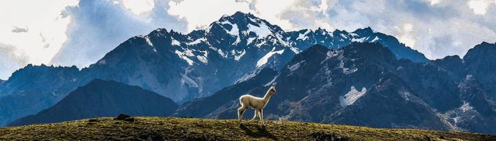 Image for Peru by Locals Travel with ID of: 3322370