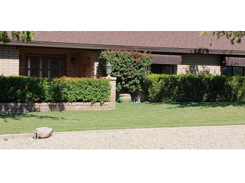 Image for Arizona Desert Weed Control with ID of: 3323132