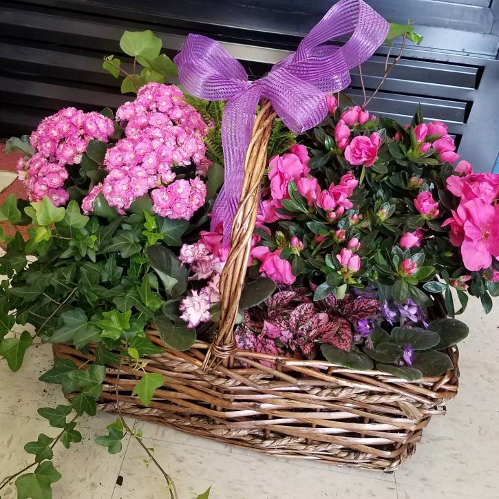 Image for Flowers by Mila with ID of: 3324592
