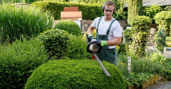 Image for Creative Landscaping with ID of: 3325768