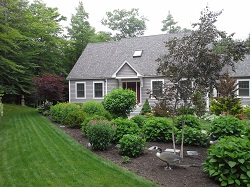 Image for Elf's Landscaping with ID of: 3326104