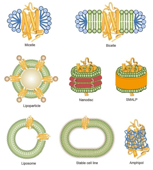 Image for what is the difference between an antigen and antibody with ID of: 3327652