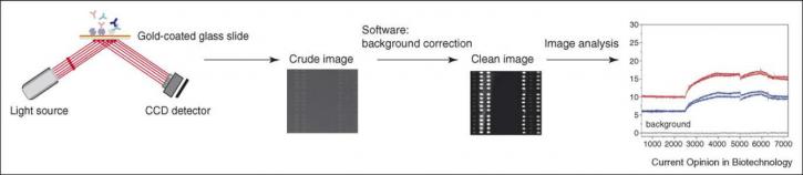 Image for amino acid analysis service with ID of: 3327671