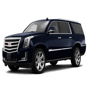 Image for Award Limousine Service with ID of: 3329285