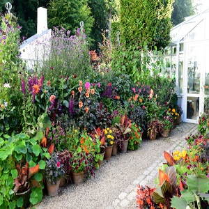 Image for Craftn' Garden with ID of: 3330759
