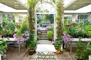 Image for Craftn' Garden with ID of: 3330760