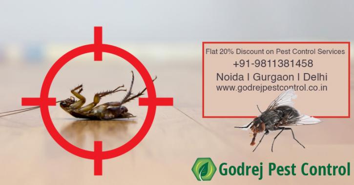 Image for Flat 20% off on Pest Control Gurgaon with ID of: 3331276