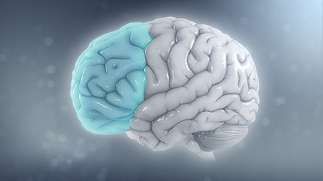 Image for Attention-deficit/Hyperactivity Disorder (ADHD) Treatment Market Trends Analysis Till 2026 with ID of: 3332387