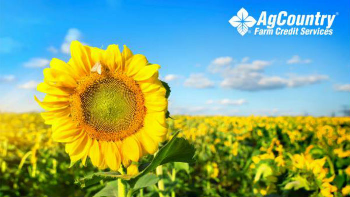 Image for AgCountry Farm Credit Services with ID of: 3333449