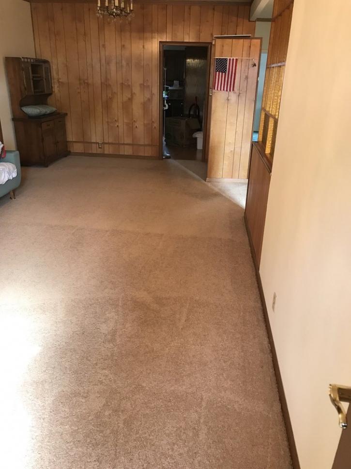 Image for Legacy Carpet with ID of: 3333621