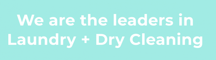 Image for Lakeside Cleaners with ID of: 3336757