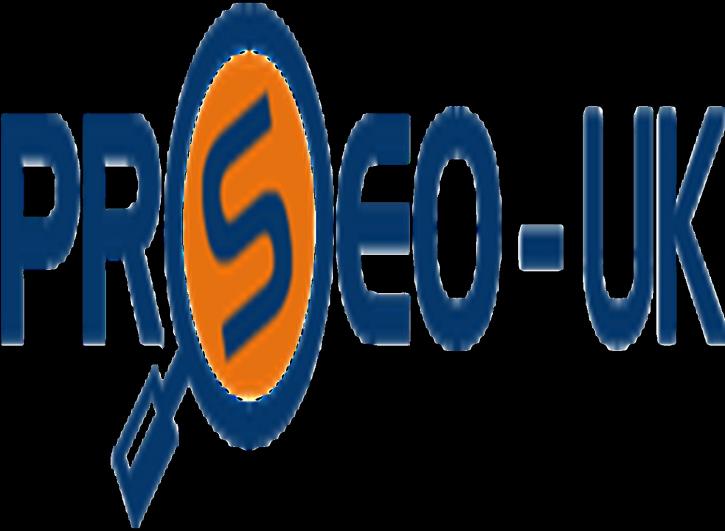 Image for PRO SEO UK with ID of: 3337349