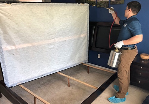 Image for Goodyear Bed Bug Expert with ID of: 3337813