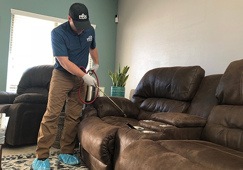 Image for Goodyear Bed Bug Expert with ID of: 3337814
