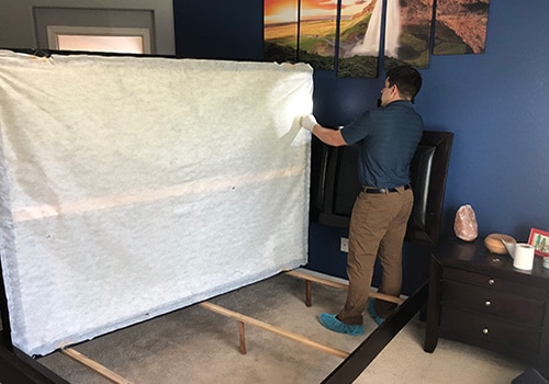 Image for Goodyear Bed Bug Expert with ID of: 3337816