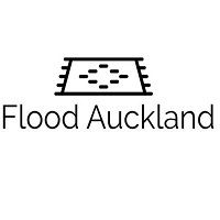 Image for Flood NZ with ID of: 3337842